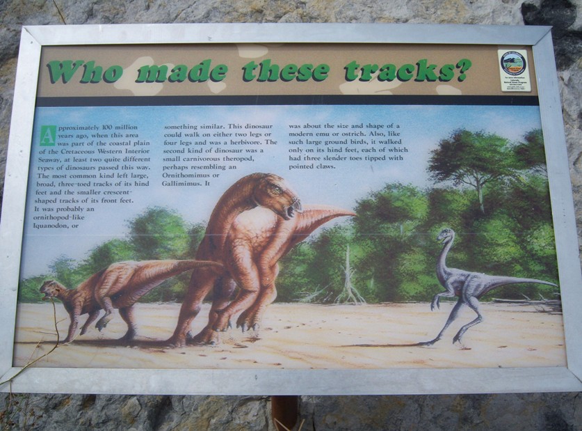 dinosaur with ridge on head